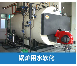 2噸/小時全自動軟水器