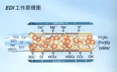 電除鹽EDI設(shè)備